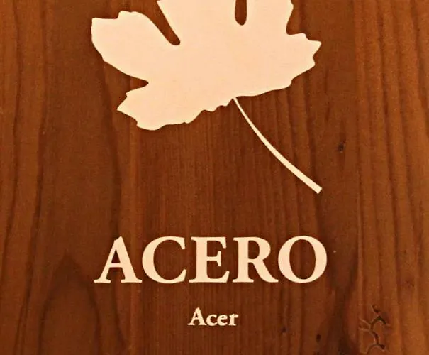 All'albaro